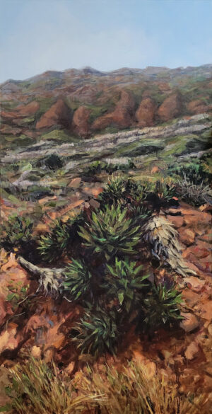 La esquina de Latinoamerica