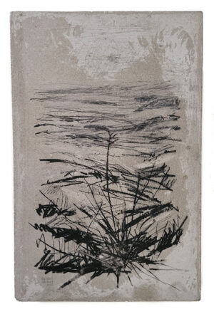 Lugares que jamás existirán